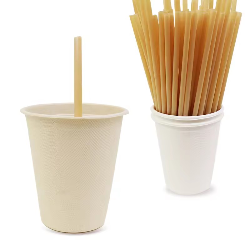 Custom Sugarcane straws